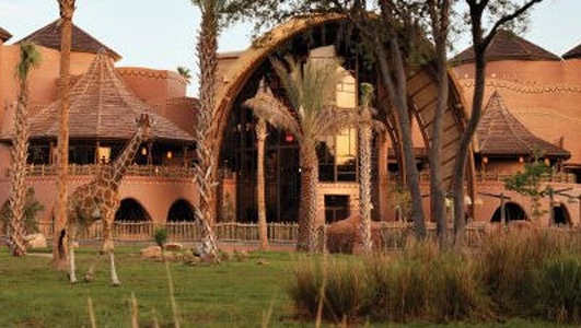 Disney's Animal Kingdom Kidani village resort