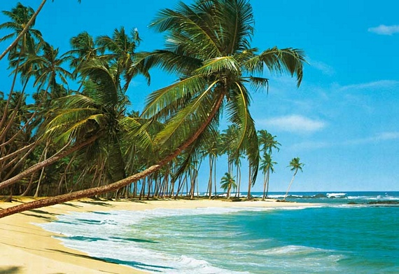 Best holiday vacation deals