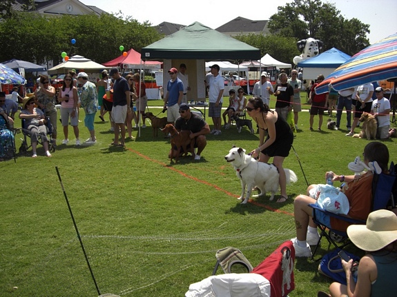 5th annual doggie derby at Baldwin Park, Orlando
