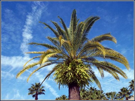 Spring in Orlando, great vacation time!