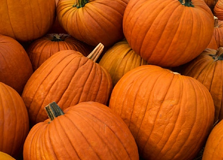 Orlando area trick or treat events