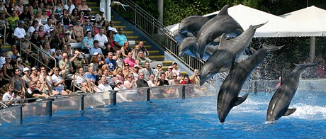 sea world raises prices again, still lower than Disney