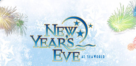 SeaWorld New Years Eve party