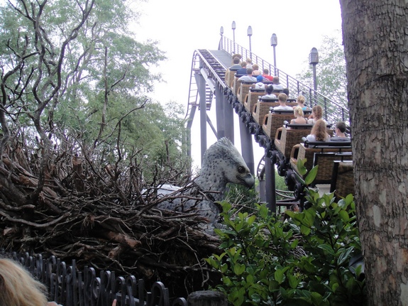 Wizarding world of Harry Potter Flight of the Hippogriff ride