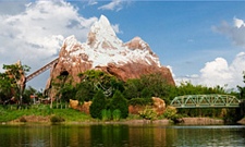 Animal Kingdom rides and attractions