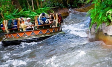 Animal Kingdom rides and attractions