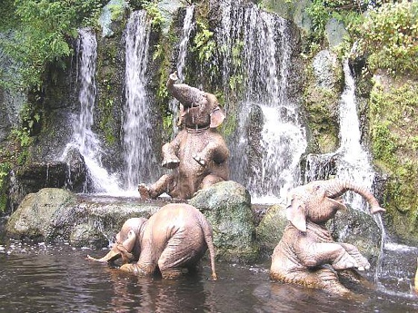 Magic Kingdom Jungle Cruise ride
