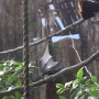 disney-animal-kingdom-11
