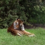 disney-animal-kingdom-15