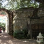 disney-animal-kingdom-18