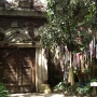 disney-animal-kingdom-19