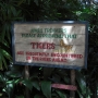 disney-animal-kingdom-2