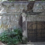 disney-animal-kingdom-20