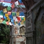 disney-animal-kingdom-21
