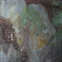 disney-animal-kingdom-25
