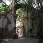 disney-animal-kingdom-30