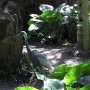 disney-animal-kingdom-4