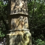 disney-animal-kingdom-40