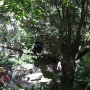 disney-animal-kingdom-41