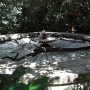 disney-animal-kingdom-42