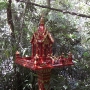 disney-animal-kingdom-43