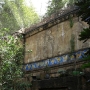 disney-animal-kingdom-45