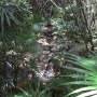 disney-animal-kingdom-47