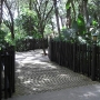 disney-animal-kingdom-48