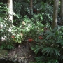 disney-animal-kingdom-49
