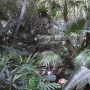 disney-animal-kingdom-50