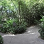 disney-animal-kingdom-53