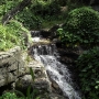 disney-animal-kingdom-70
