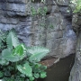 disney-animal-kingdom-72