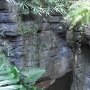 disney-animal-kingdom-73