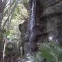 disney-animal-kingdom-74