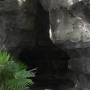 disney-animal-kingdom-75