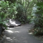 disney-animal-kingdom-77