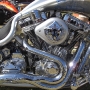 bike-week-2012-pictures-118