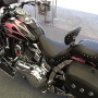 bike-week-2012-pictures-43
