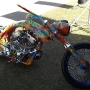 bike-week-2012-pictures-49