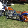 bike-week-2012-pictures-65
