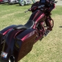 bike-week-2012-pictures-87