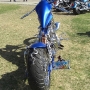 bike-week-2012-pictures-88