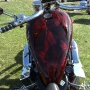 bike-week-2012-pictures-98