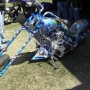 bike-week-2013-63