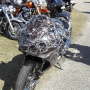 bike-week-2013-66