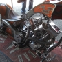 bike-week-2013-70