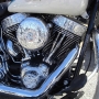 bike-week-2013-95
