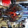 bike-week-2013-97