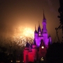walt-disney-world-christmas-102